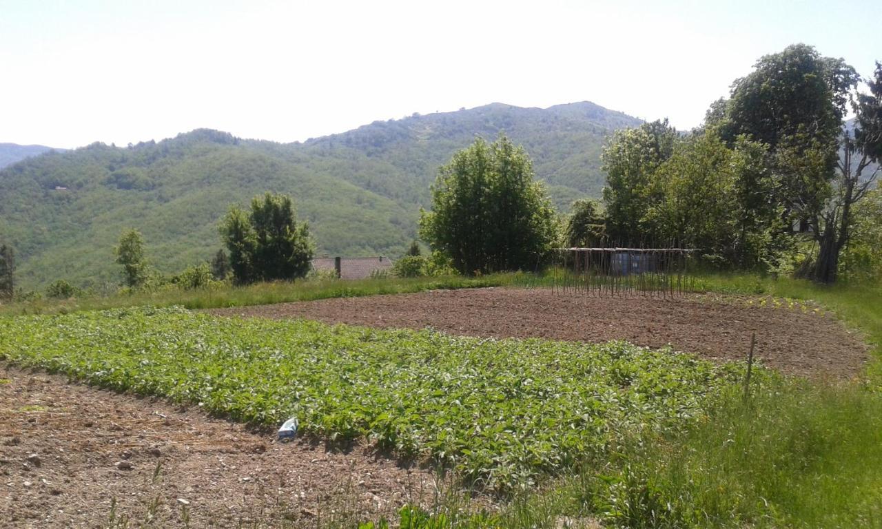 028 - Agriturismo "Il Boschetto" Con Piscina, Pace E Natura - Camera Familiare Cavizzano Exterior photo